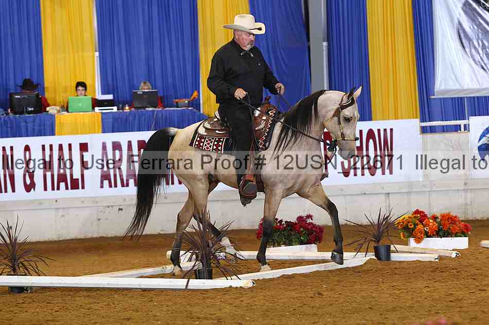 Proof 12usn_22671