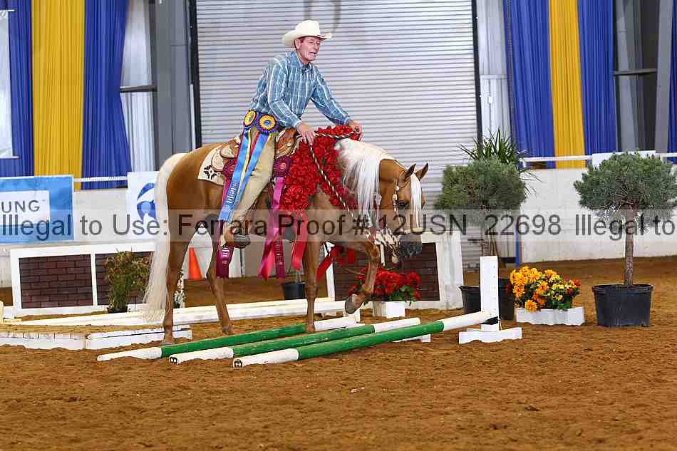 Proof 12usn_22698