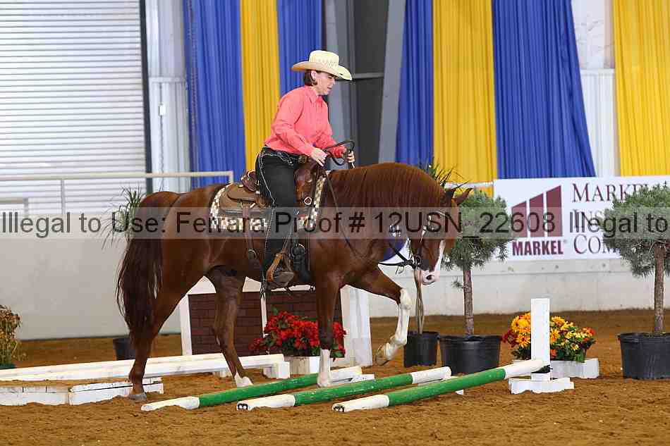 Proof 12usn_22608