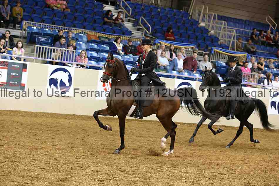 Proof 12usn_11192