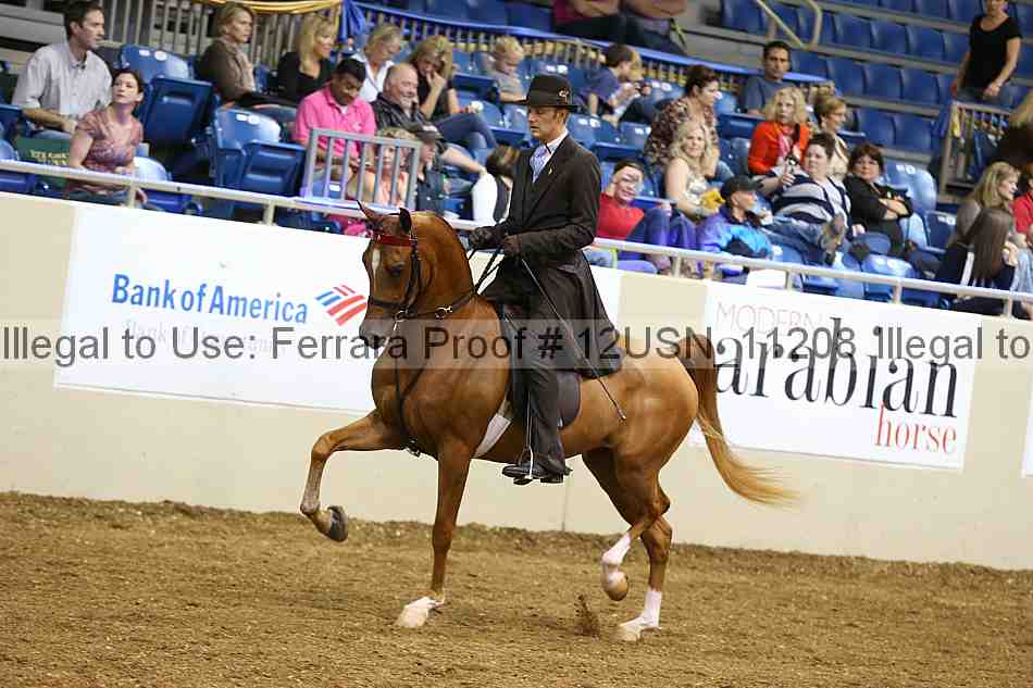 Proof 12usn_11208