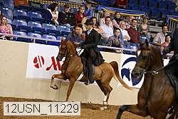 12usn_11229 proof