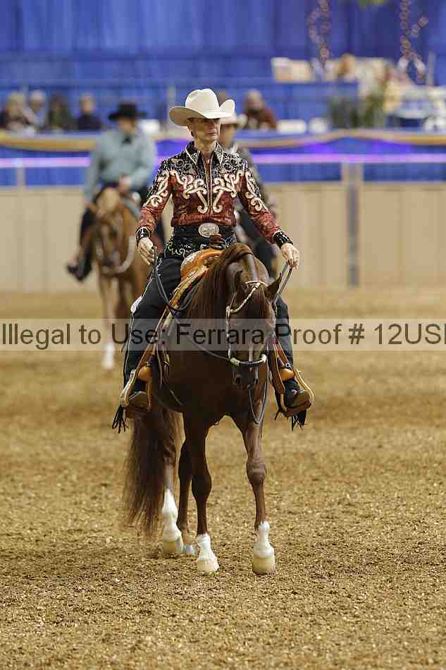 Proof 12usn_01004