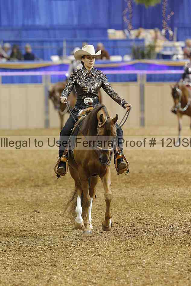 Proof 12usn_01005