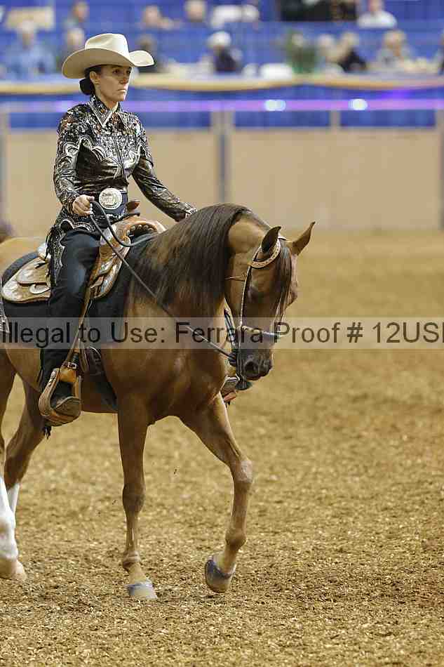 Proof 12usn_01007