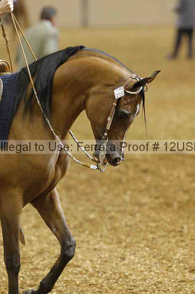 Proof 12usn_01012