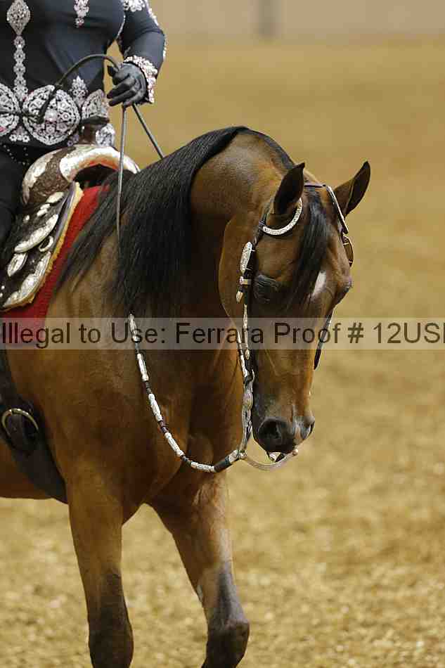Proof 12usn_01017