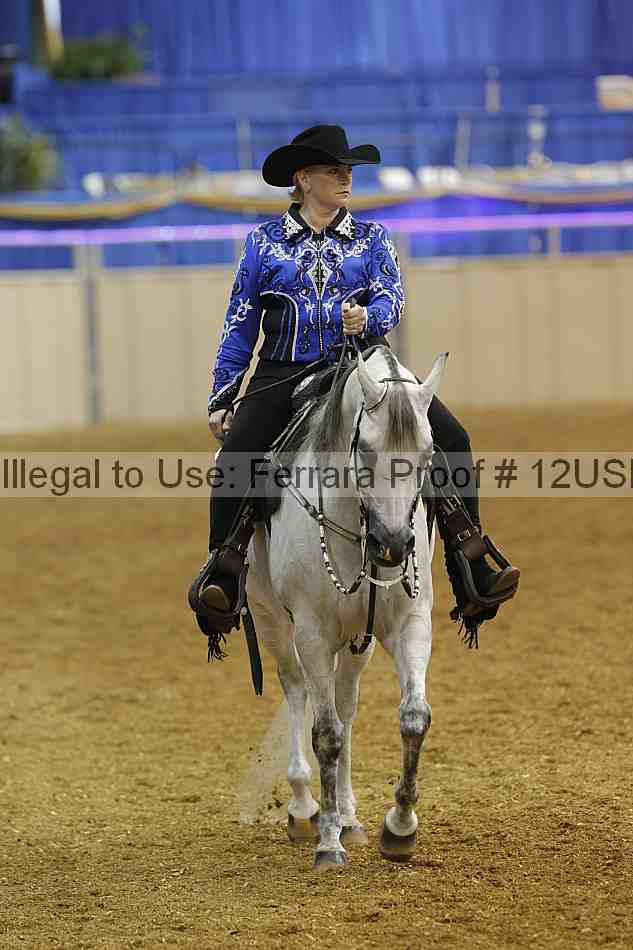 Proof 12usn_06751
