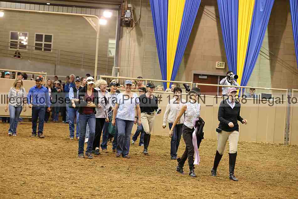 Proof 12usn_11038