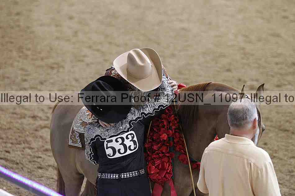 Proof 12usn_11097