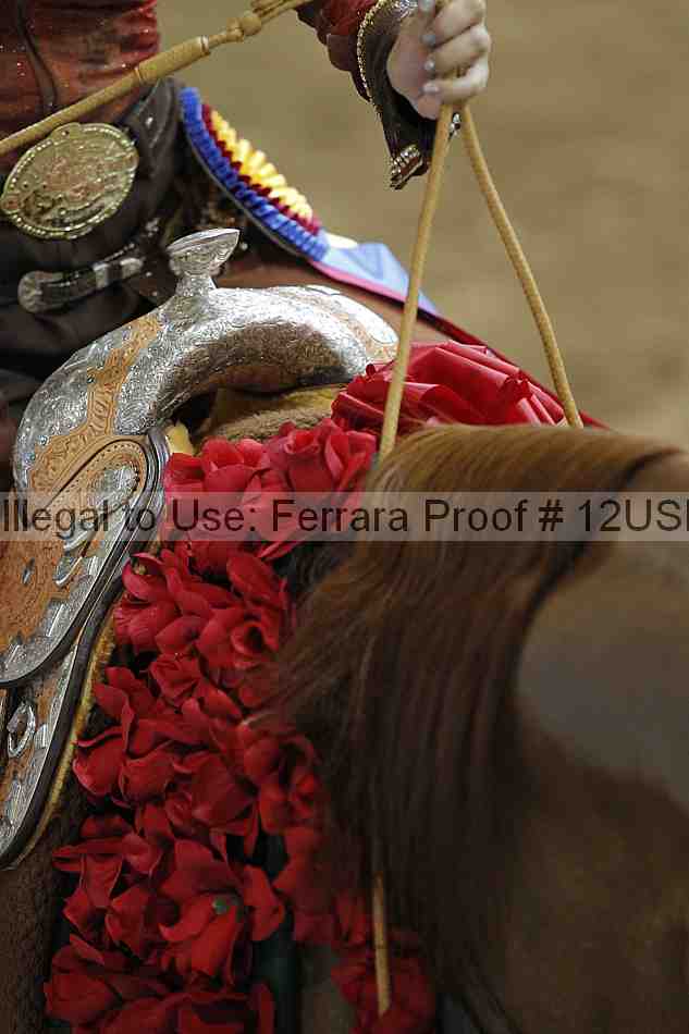 Proof 12usn_11110