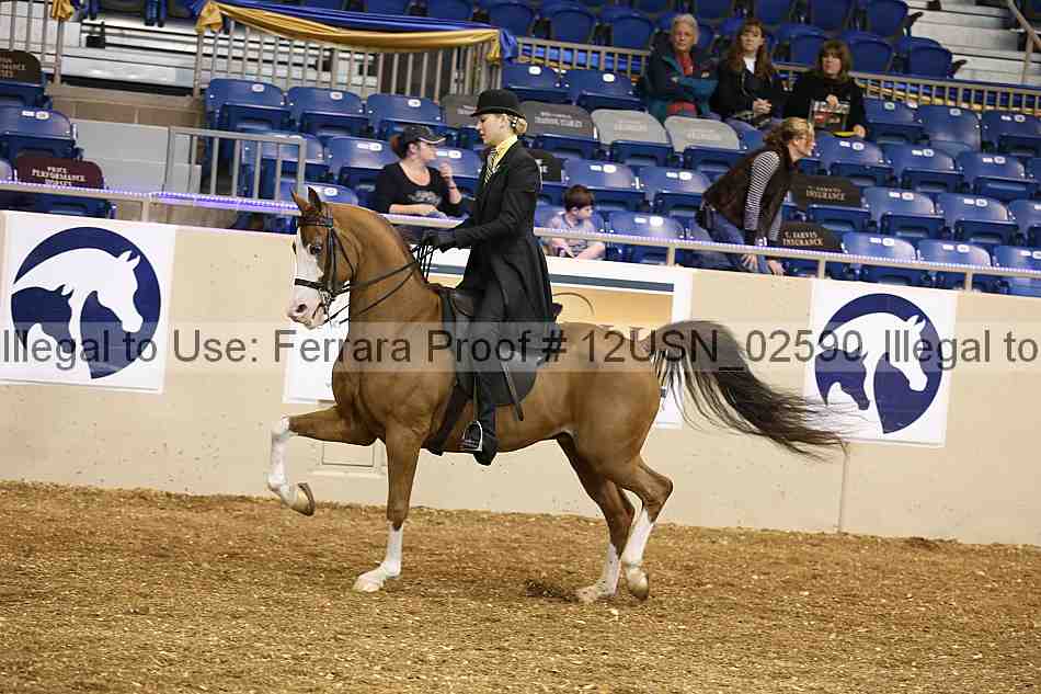 Proof 12usn_02590