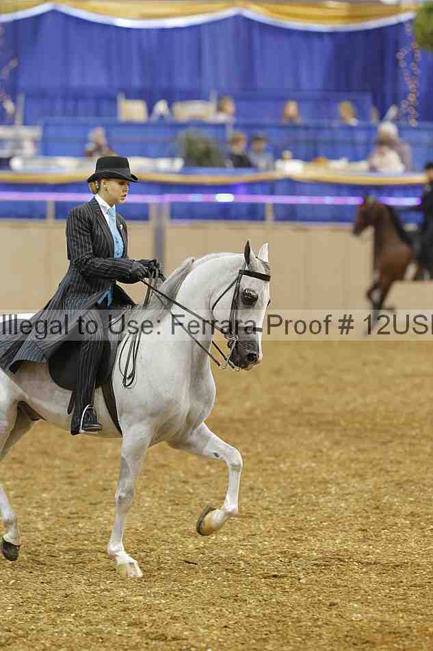 Proof 12usn_02619