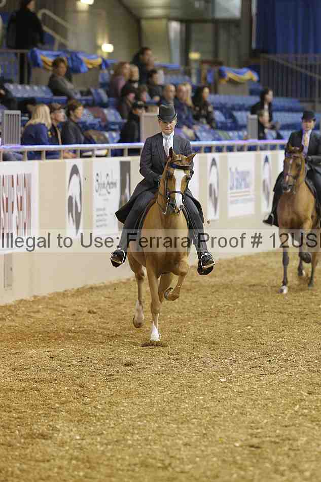 Proof 12usn_02629