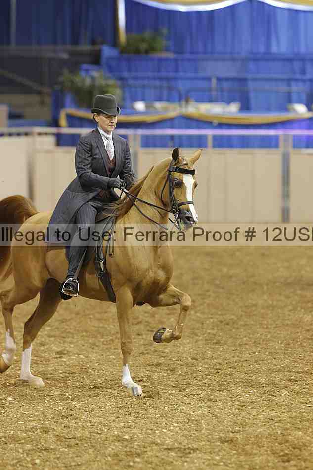 Proof 12usn_02630
