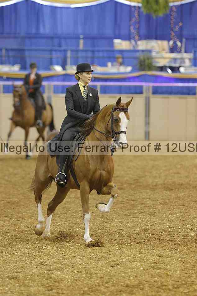 Proof 12usn_02636