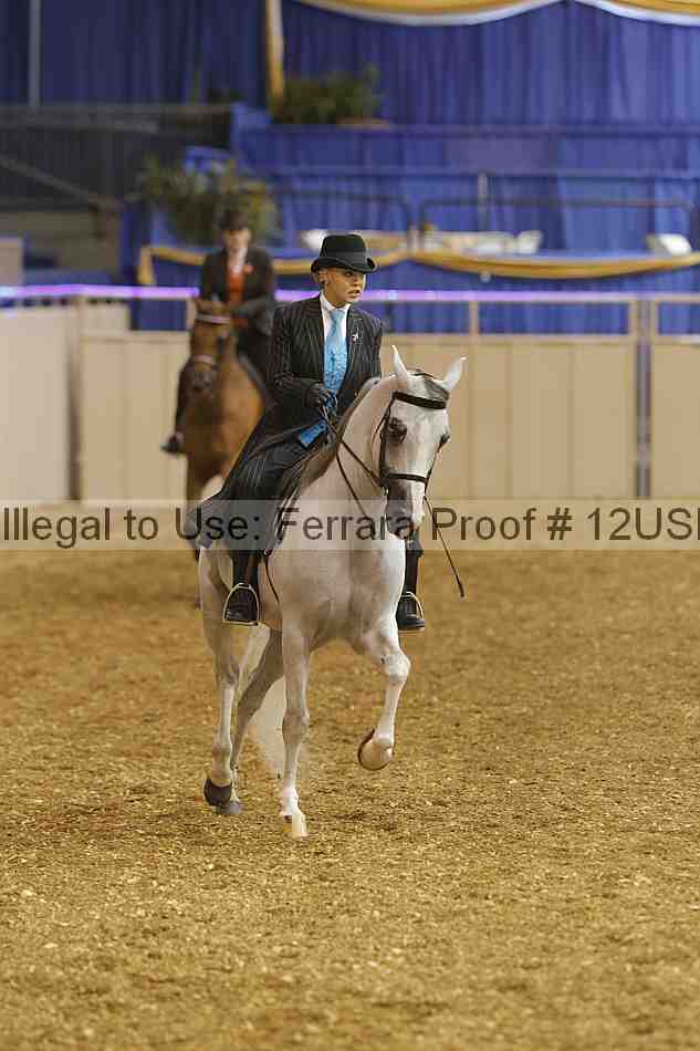 Proof 12usn_02639