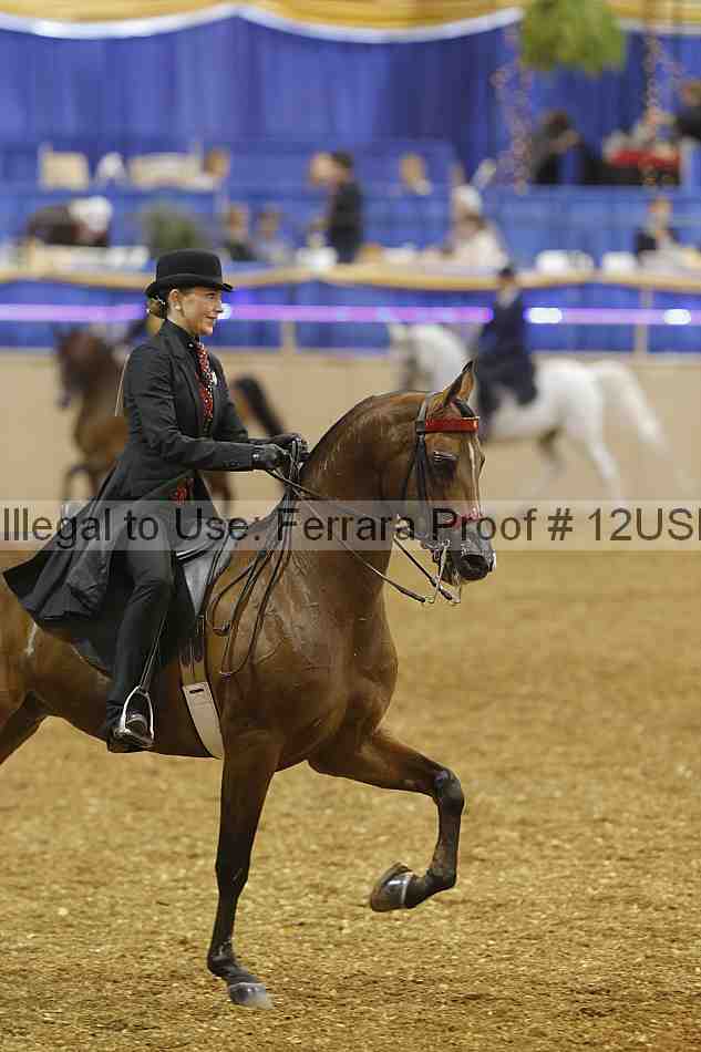 Proof 12usn_02646