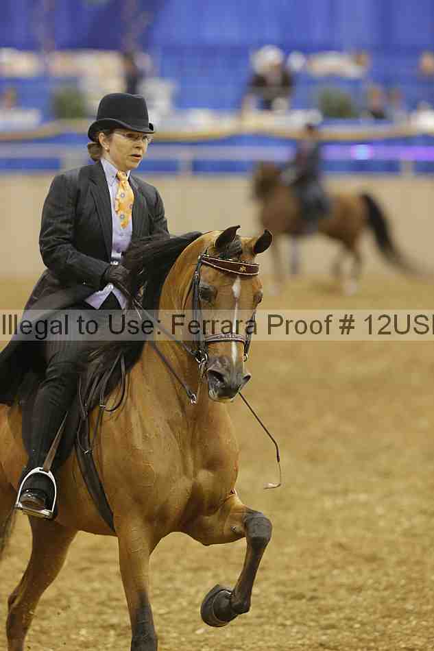 Proof 12usn_02648