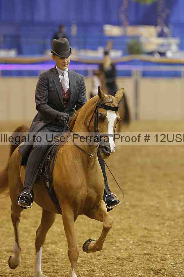 Proof 12usn_02652