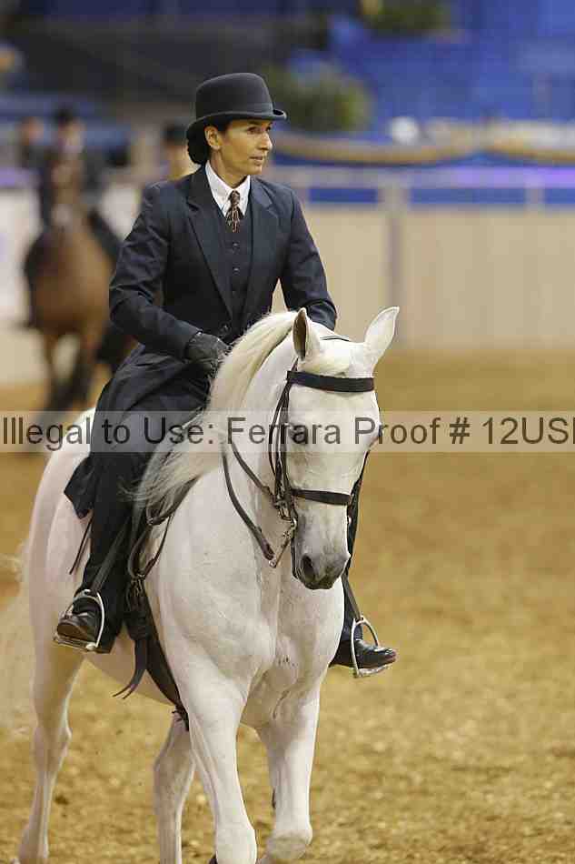 Proof 12usn_02655