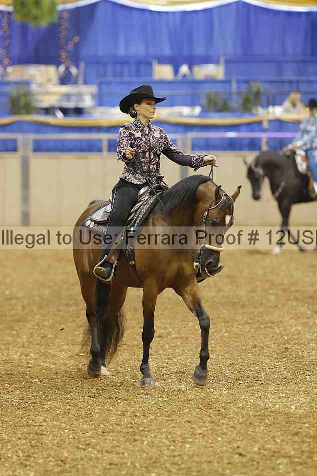 Proof 12usn_02408