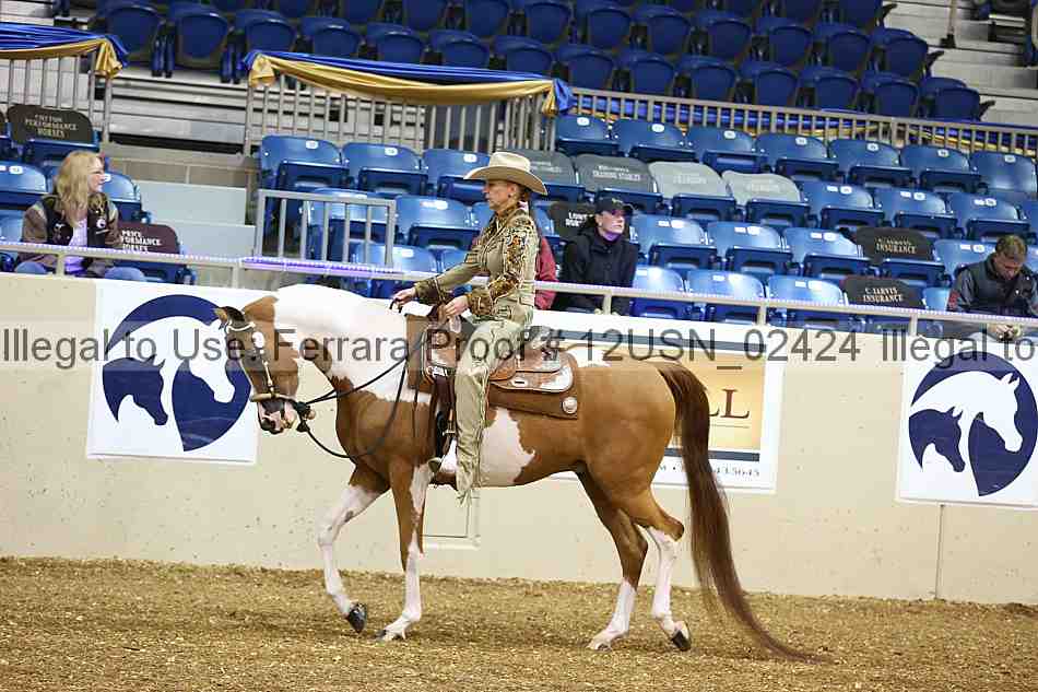 Proof 12usn_02424
