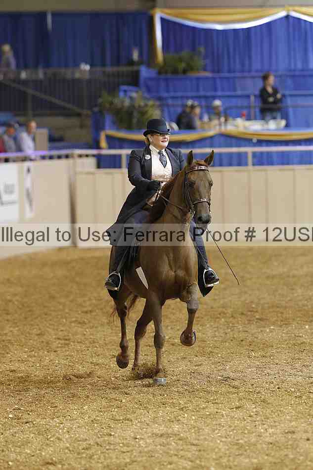 Proof 12usn_03733