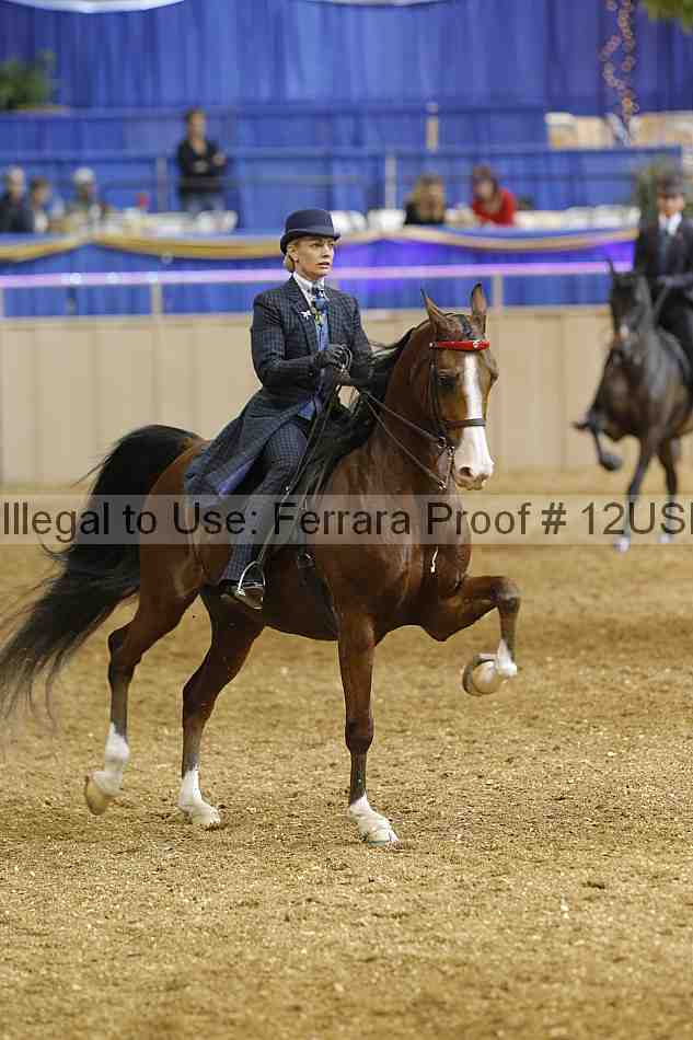 Proof 12usn_03735