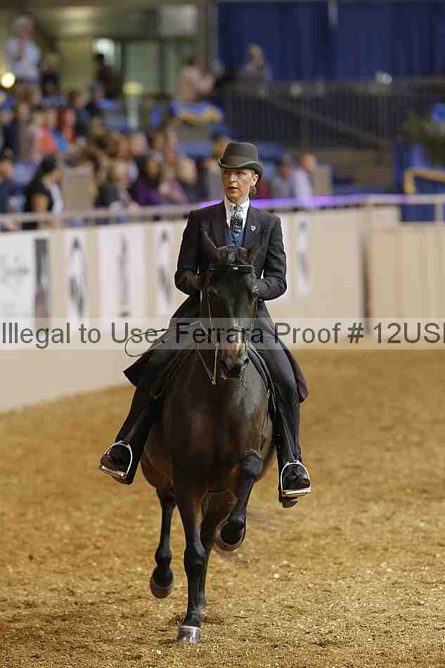Proof 12usn_03739