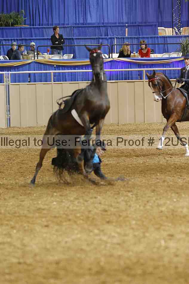 Proof 12usn_03744