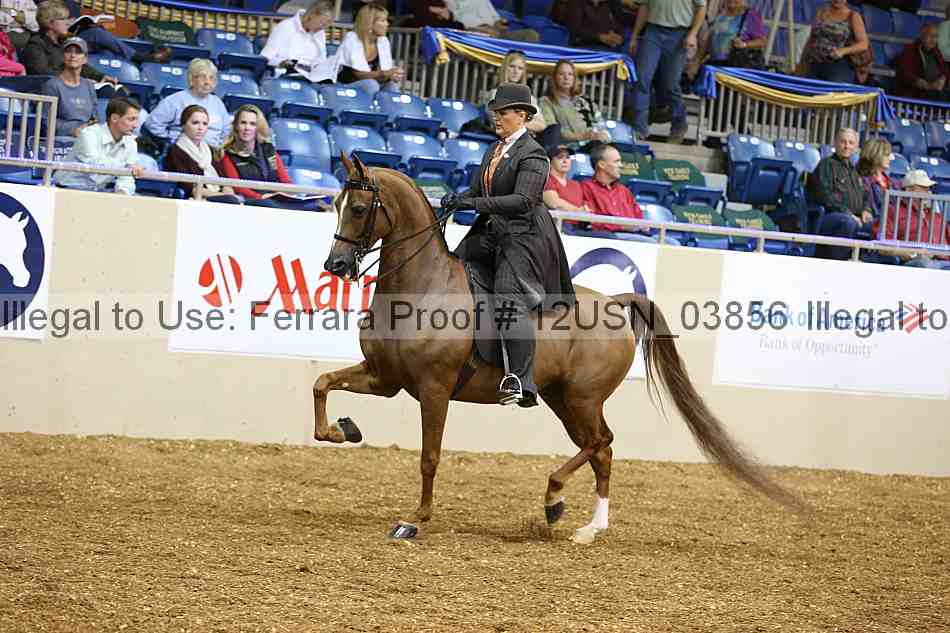 Proof 12usn_03856