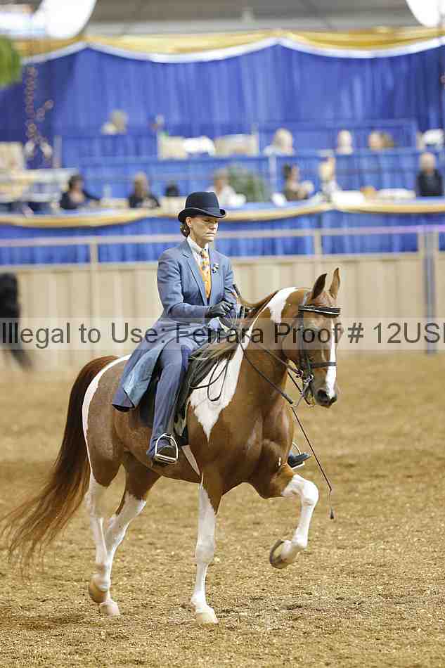 Proof 12usn_03858