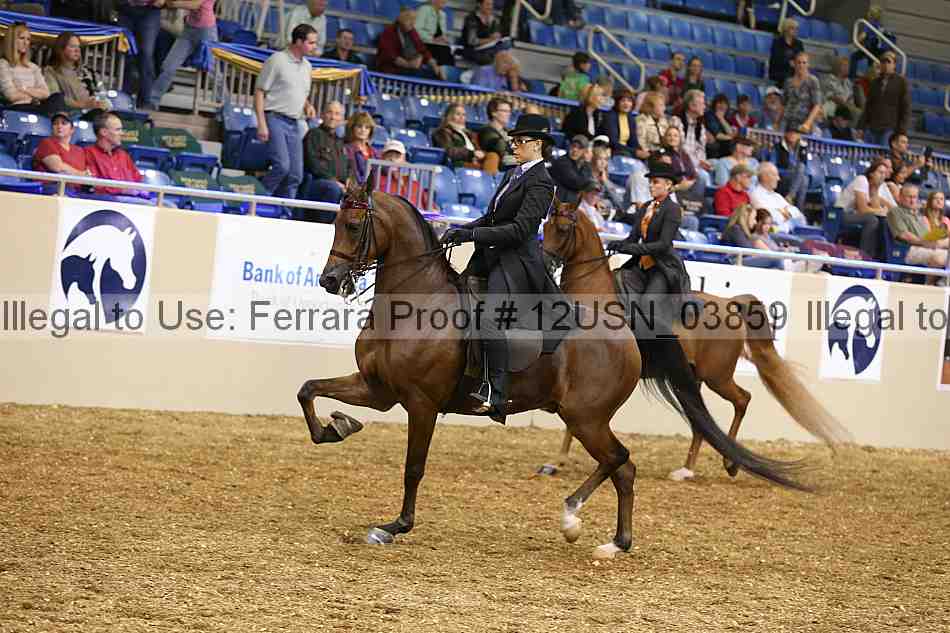 Proof 12usn_03859
