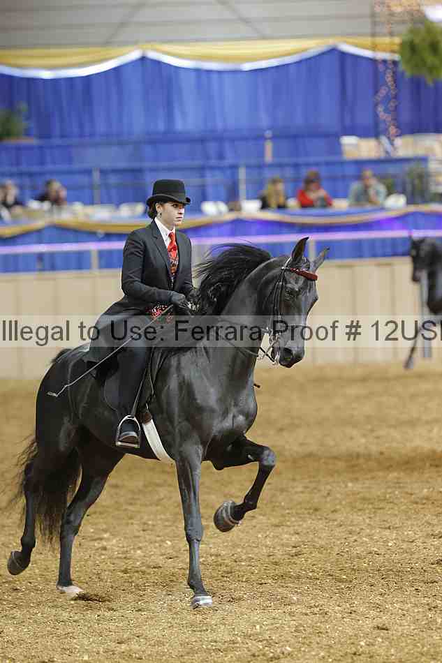Proof 12usn_03862