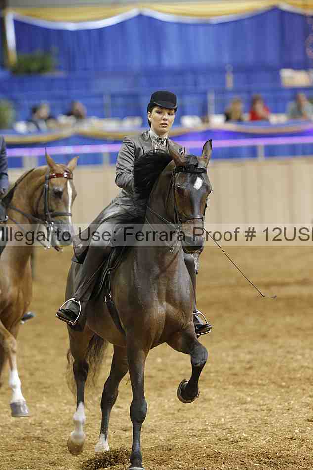 Proof 12usn_03865