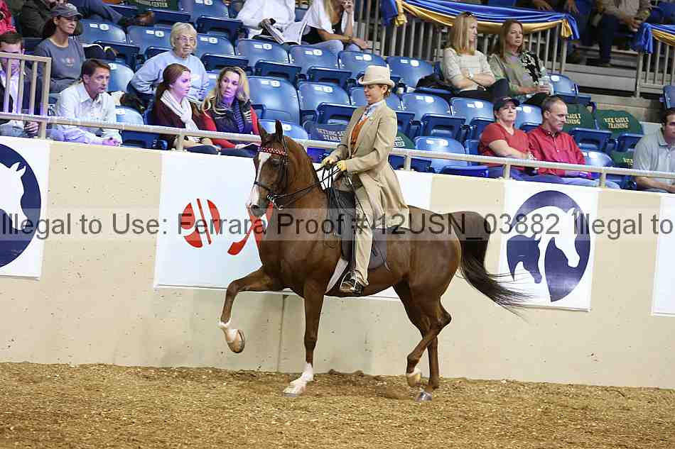 Proof 12usn_03882
