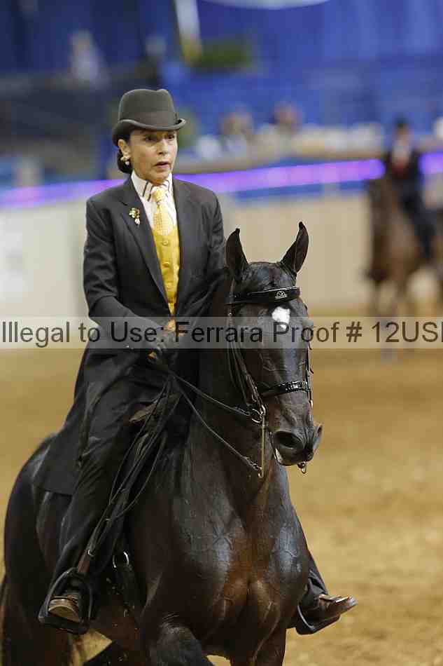 Proof 12usn_03888
