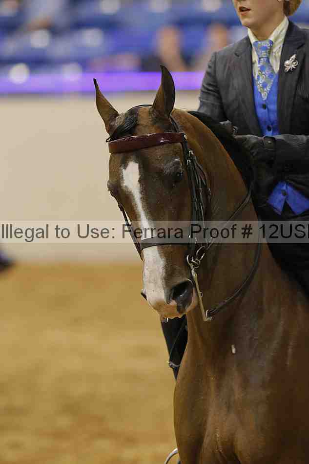 Proof 12usn_03896