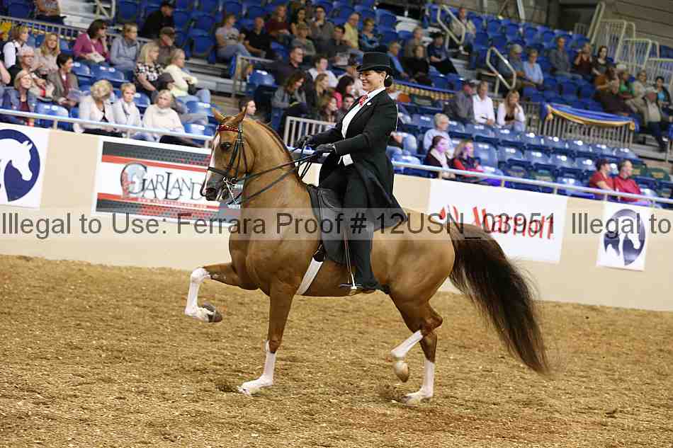Proof 12usn_03951
