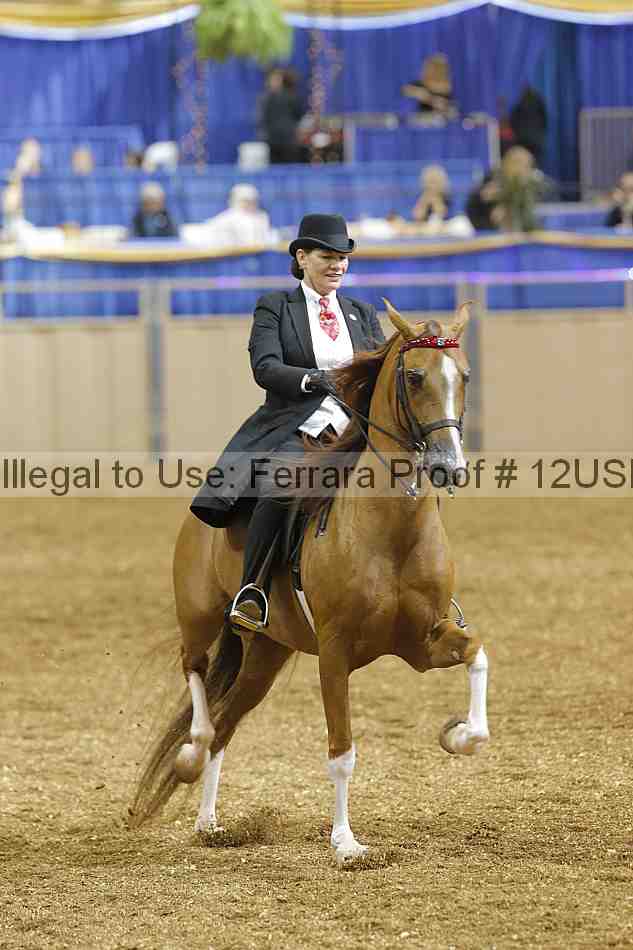 Proof 12usn_03974