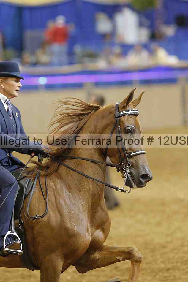 Proof 12usn_03976