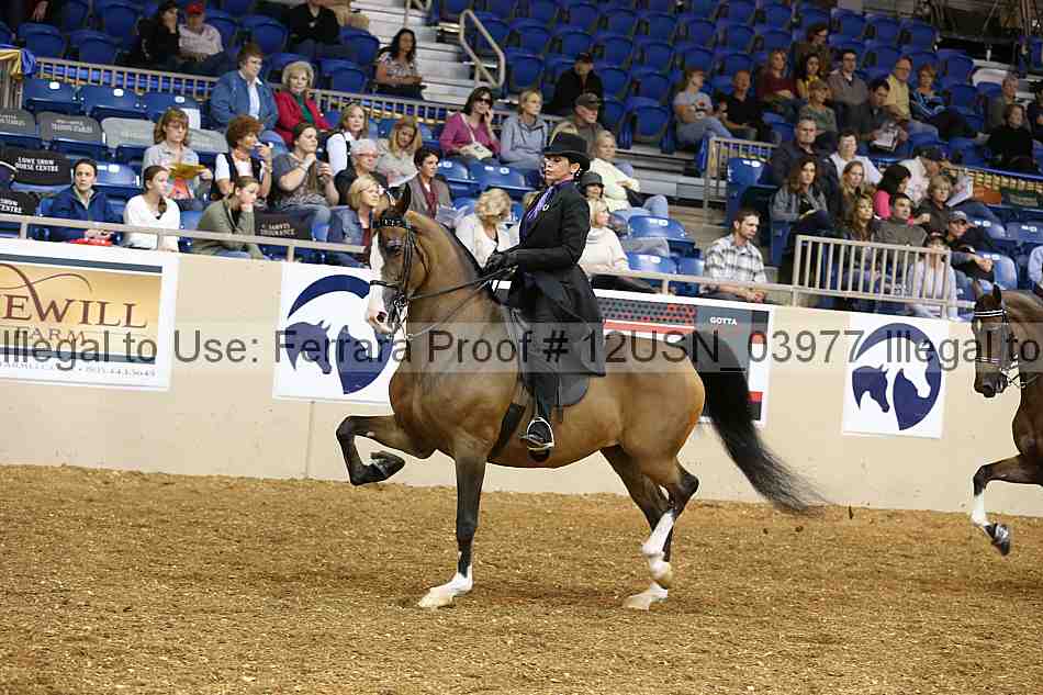 Proof 12usn_03977
