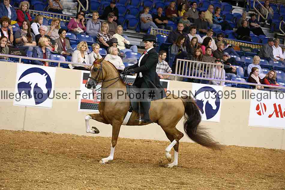 Proof 12usn_03995