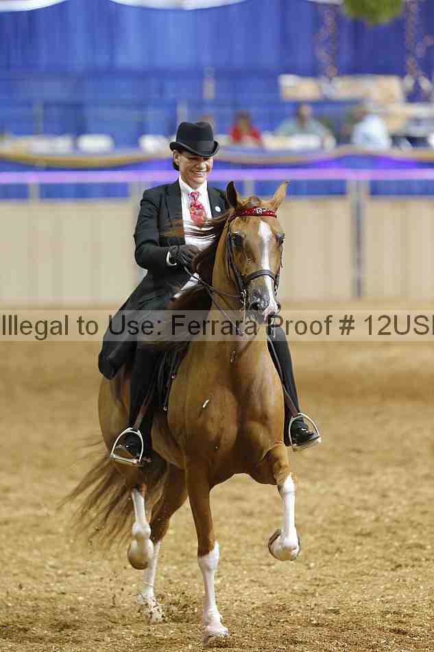 Proof 12usn_04025