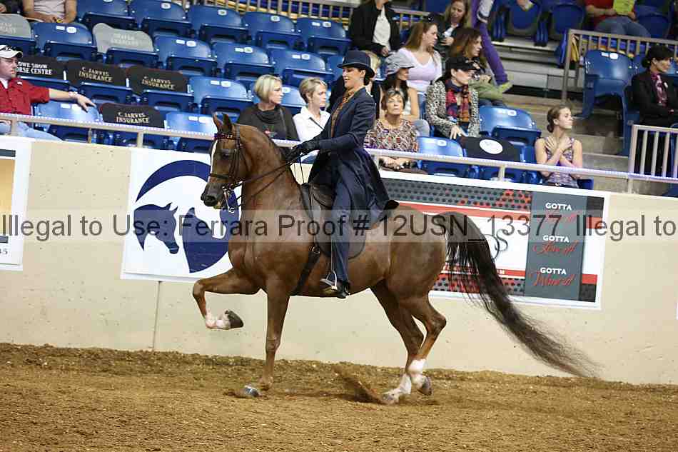 Proof 12usn_13377
