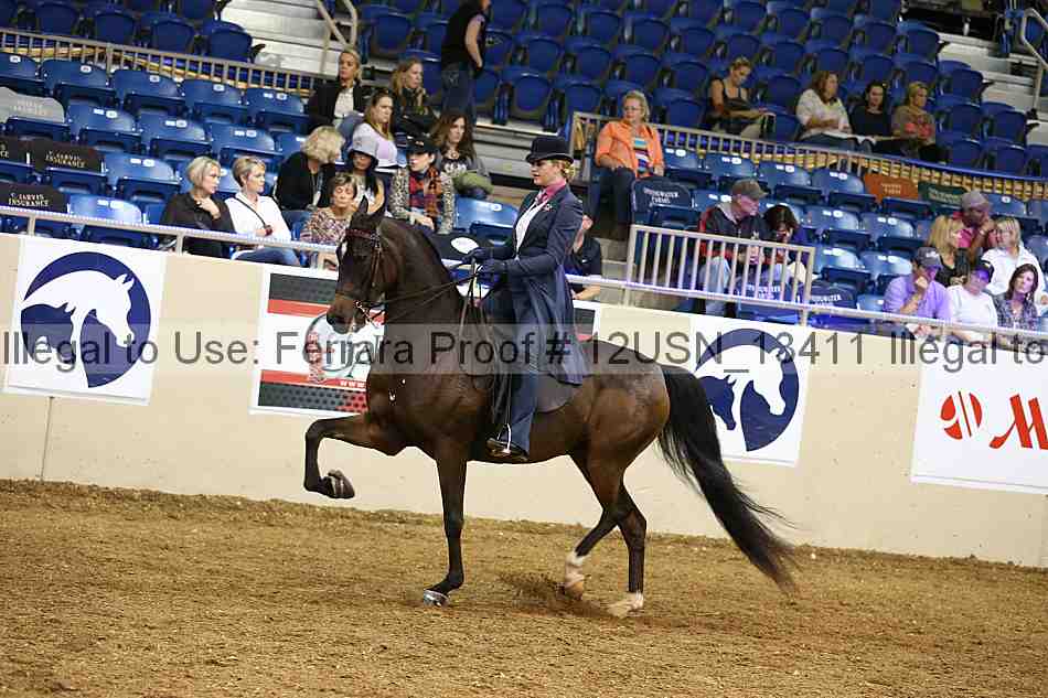 Proof 12usn_13411