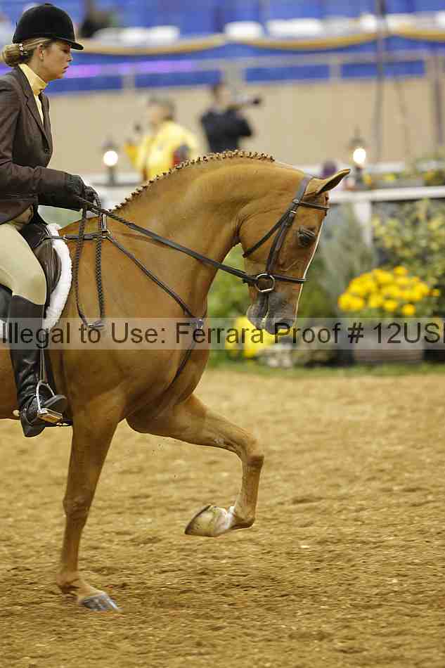 Proof 12usn_14164