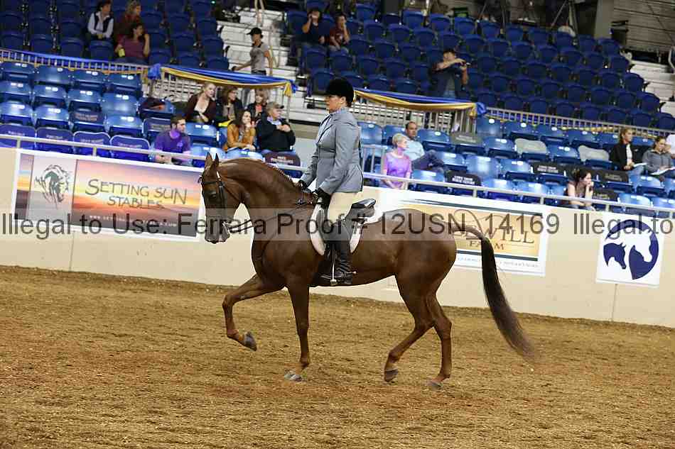 Proof 12usn_14169
