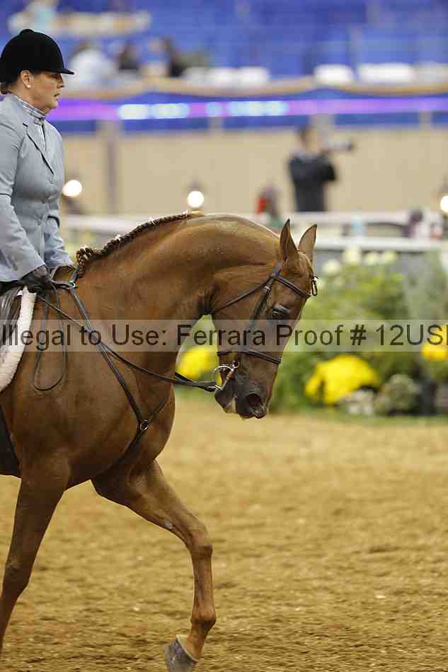 Proof 12usn_14181